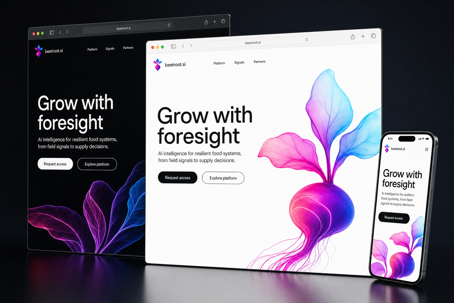 beetroot.si website concept preview