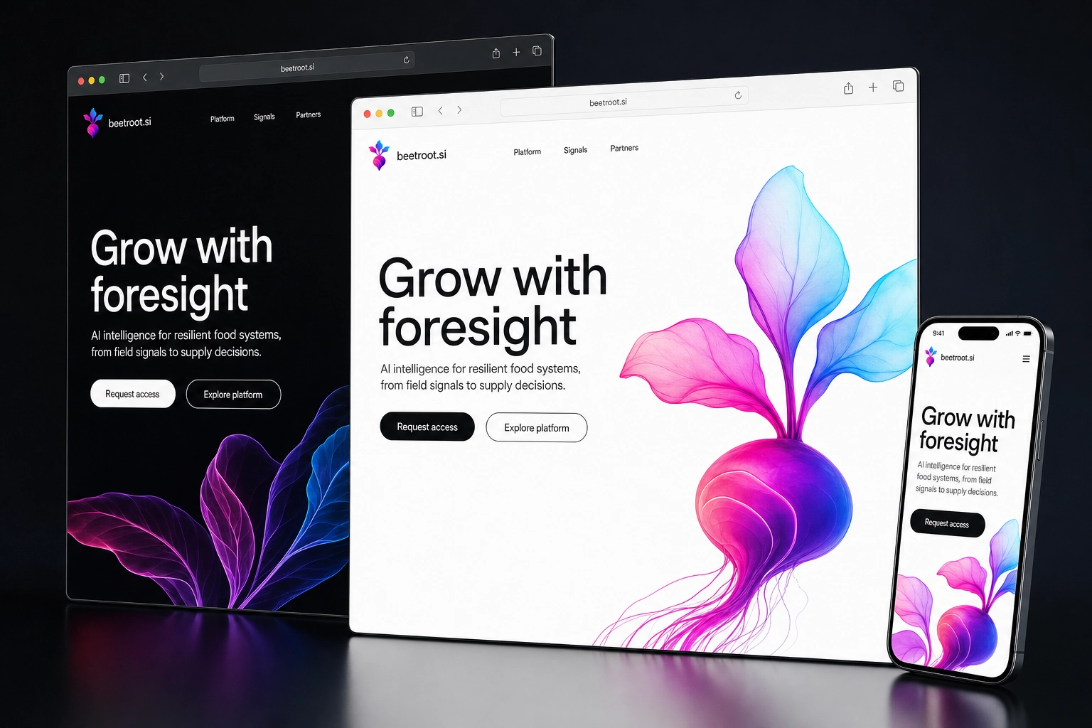 beetroot.si website concept preview