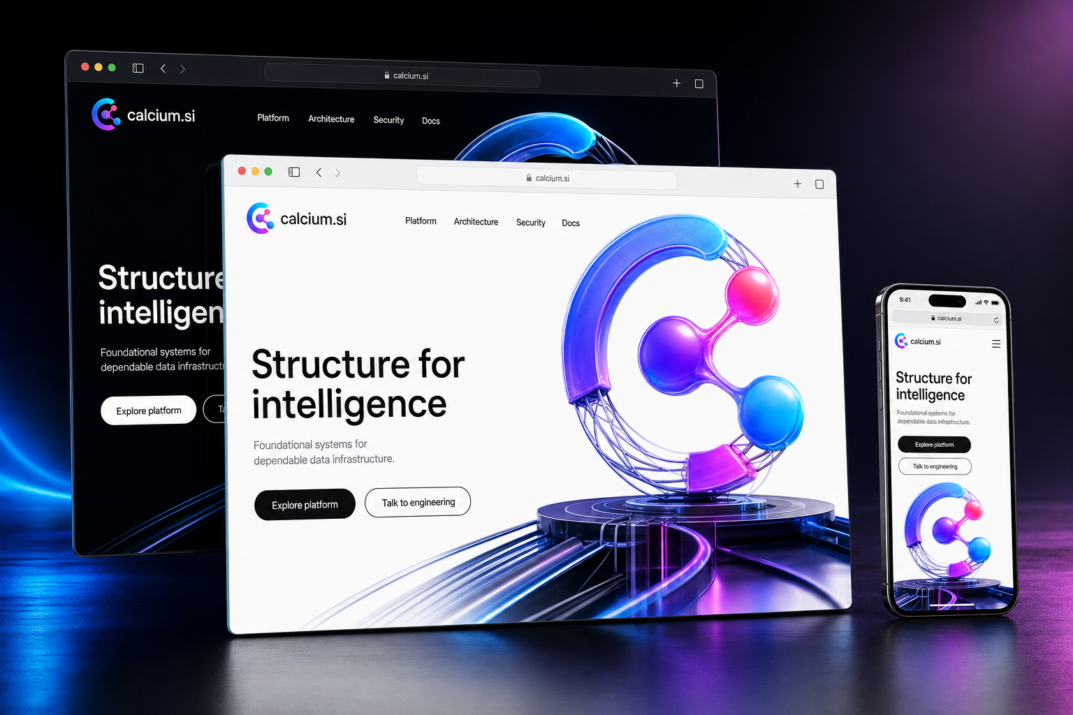 calcium.si website concept preview