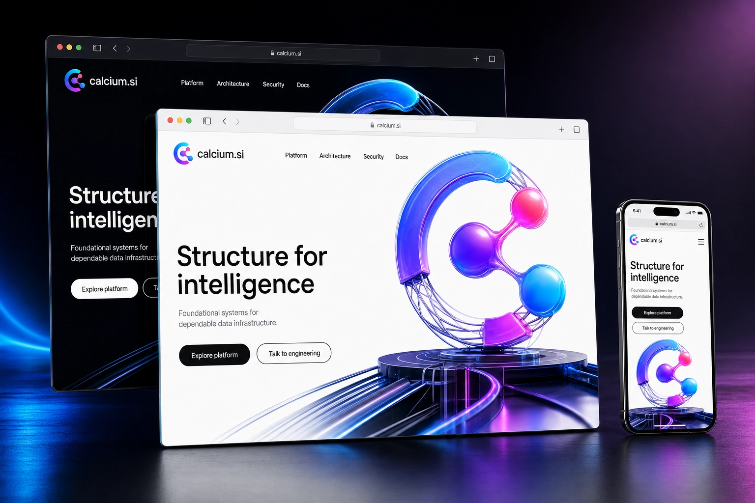 calcium.si website concept preview