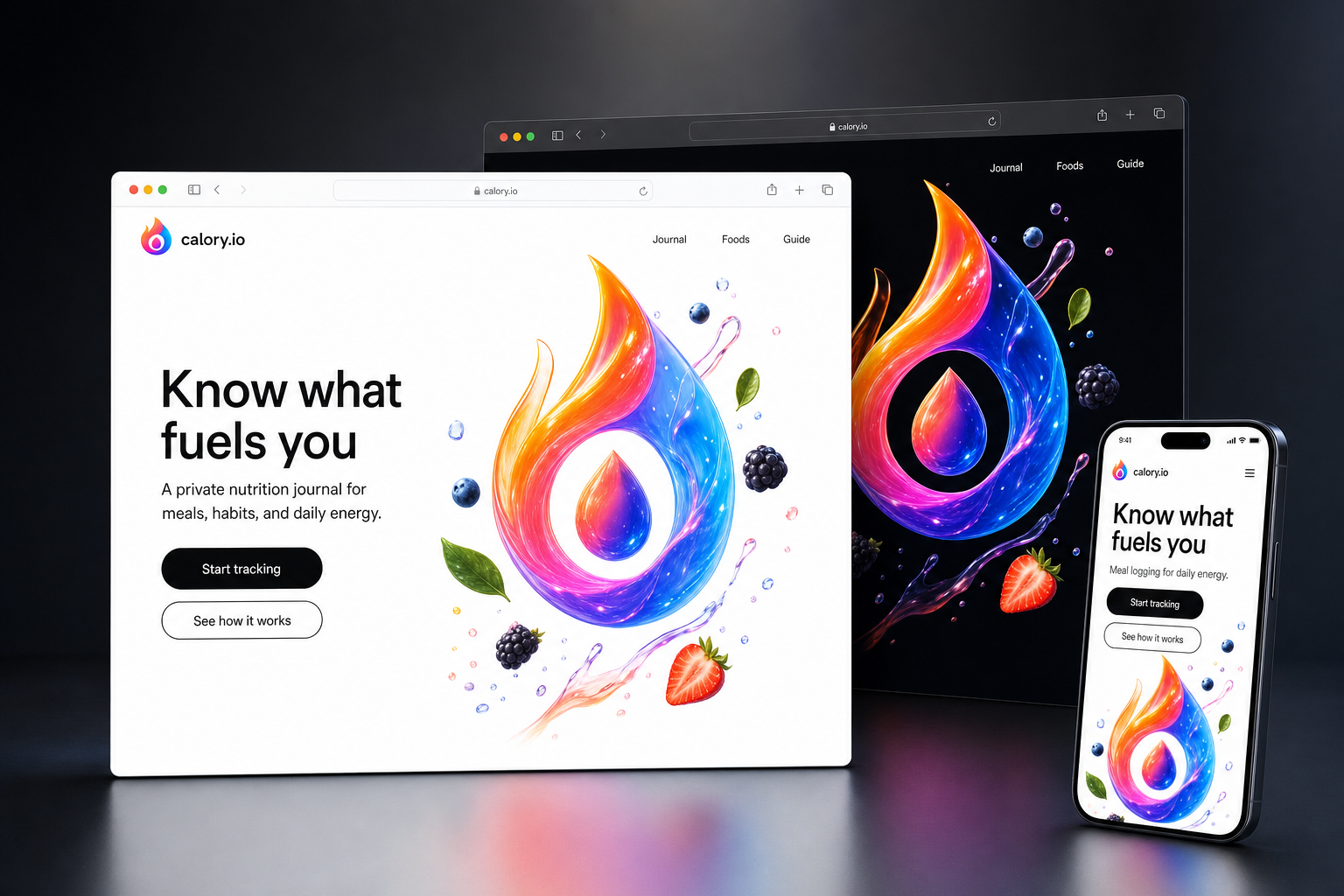 calory.io website concept preview