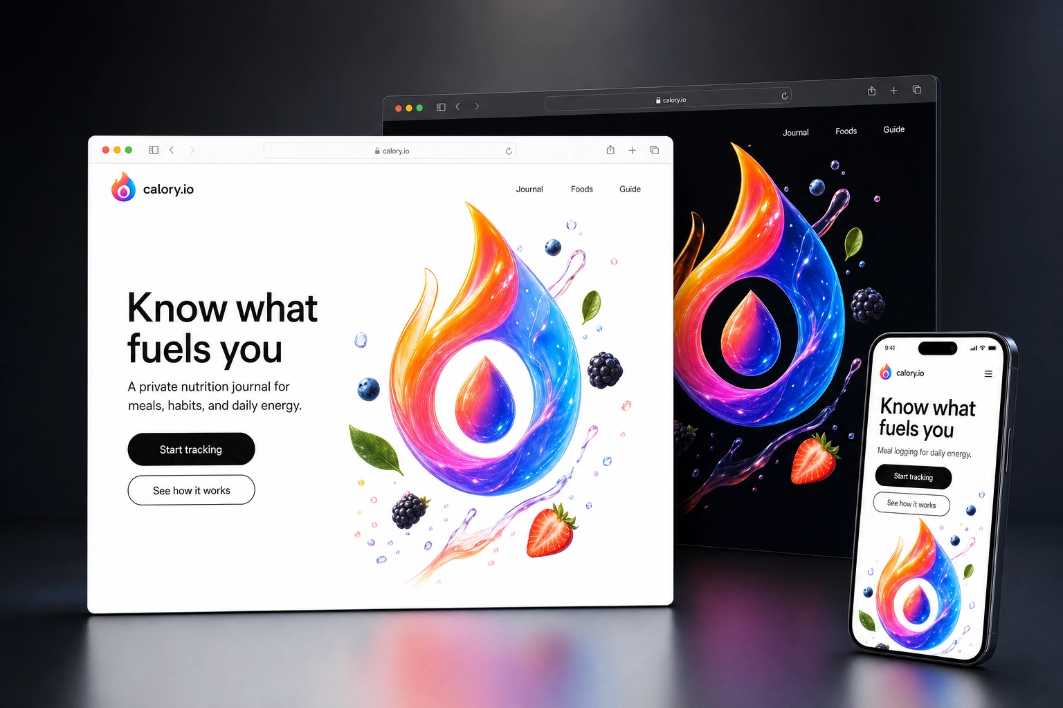 calory.io website concept preview
