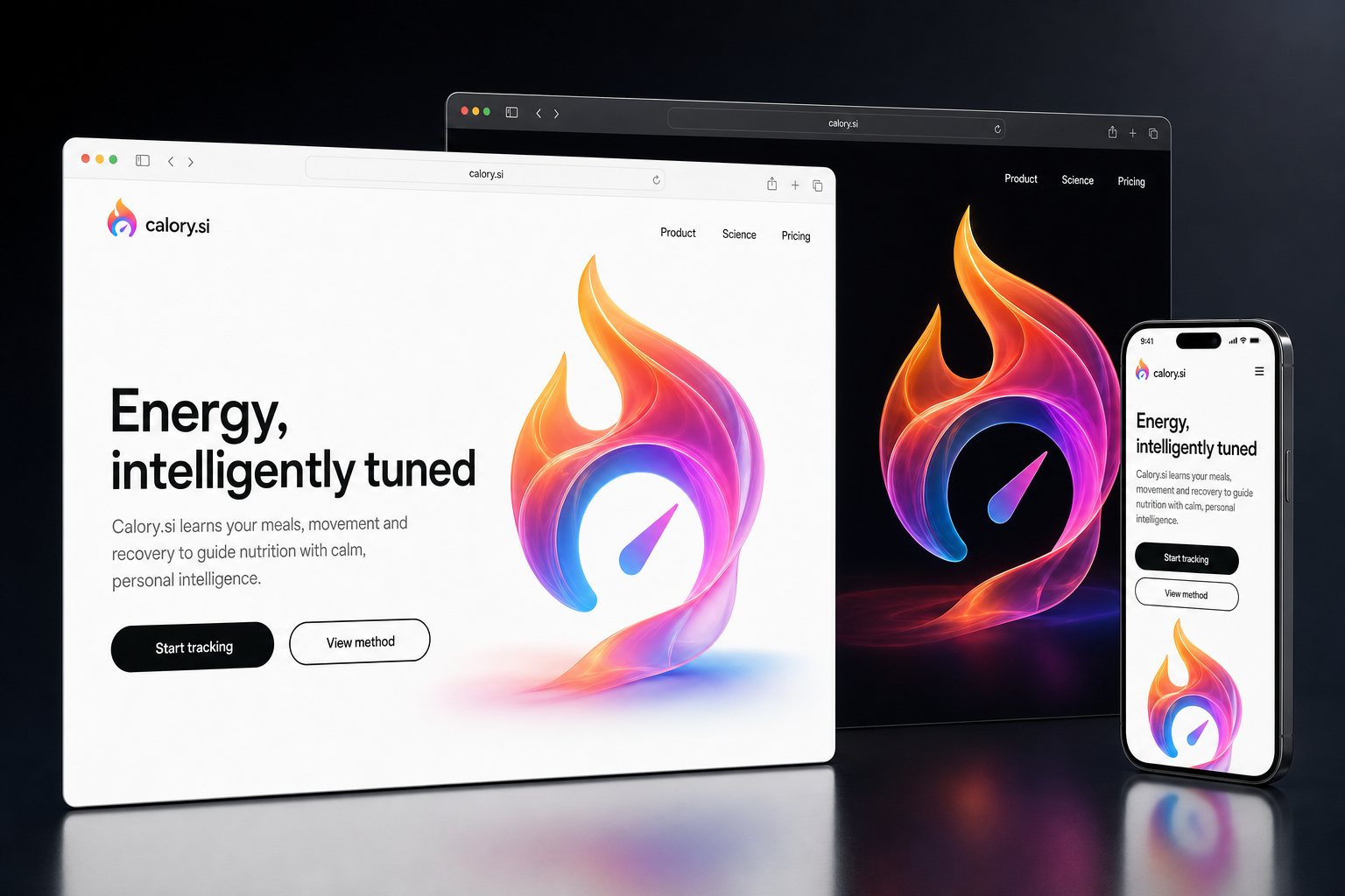 calory.si website concept preview