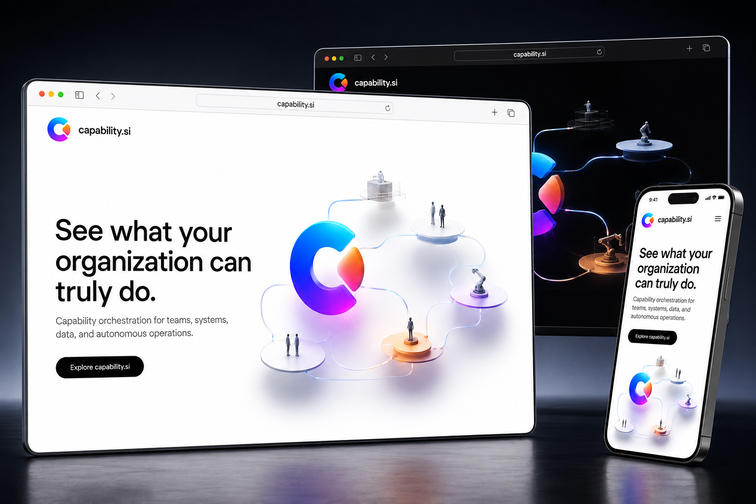 capability.si website concept preview