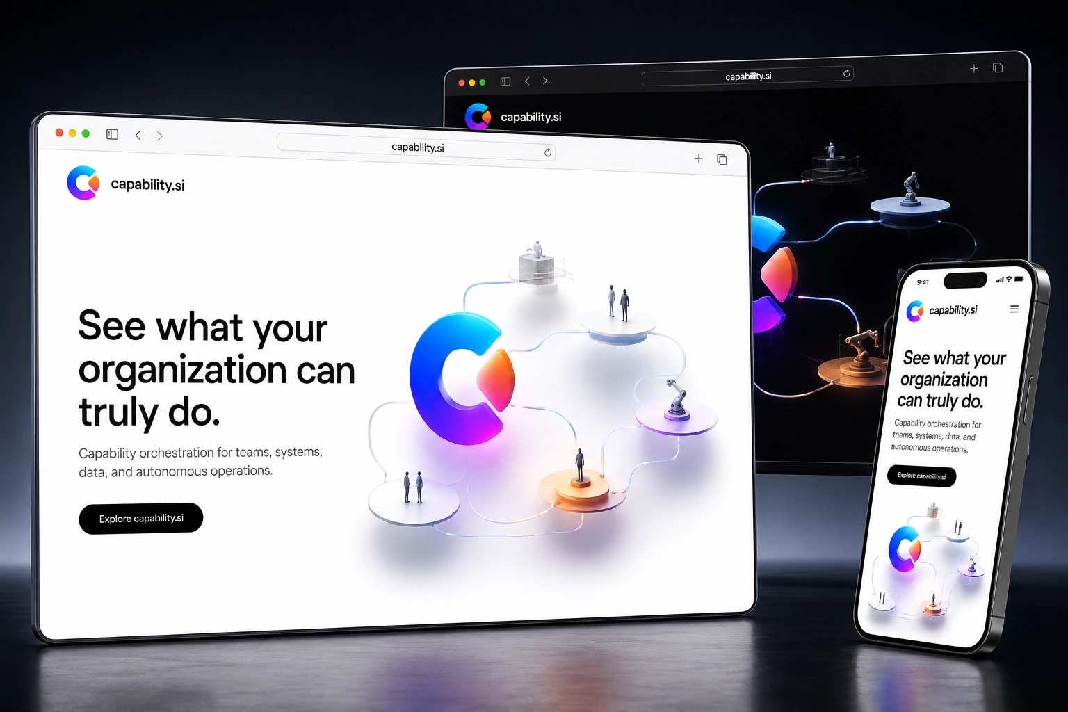 capability.si website concept preview