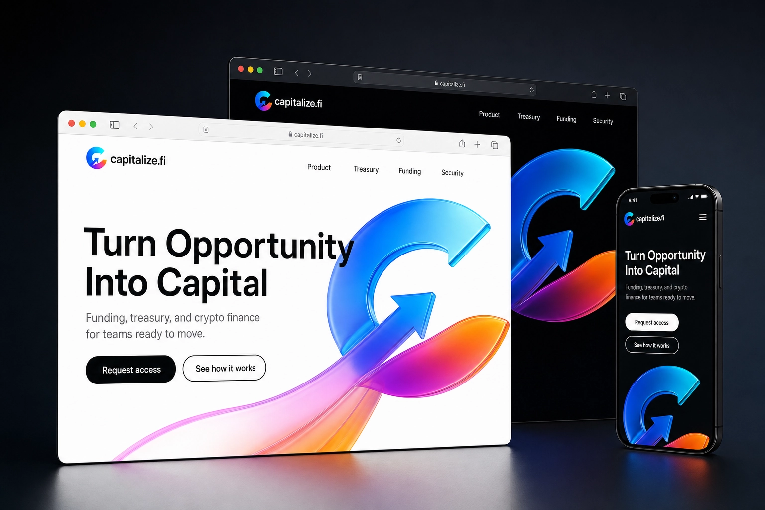 capitalize.fi website concept preview