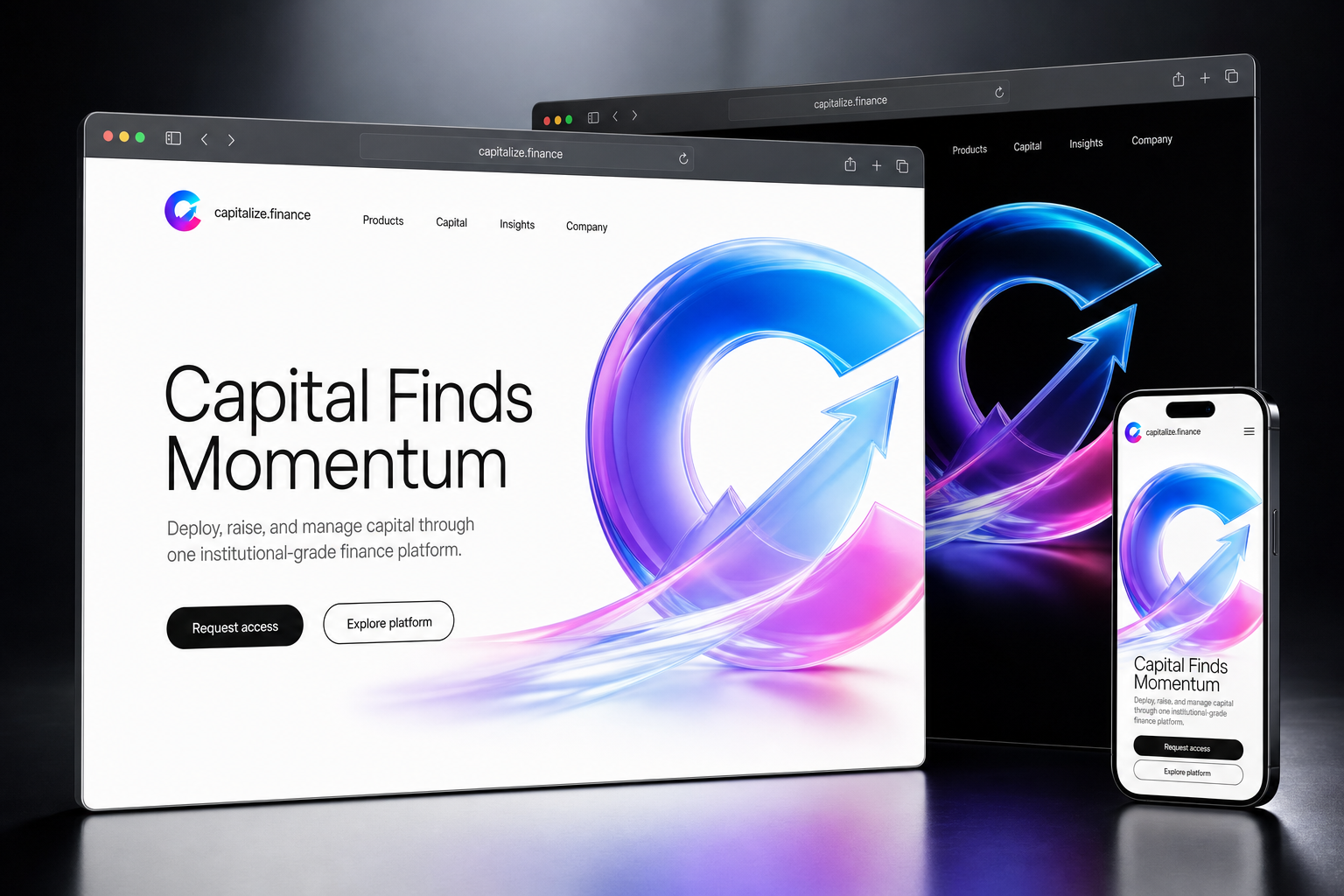 capitalize.finance website concept preview enlarged