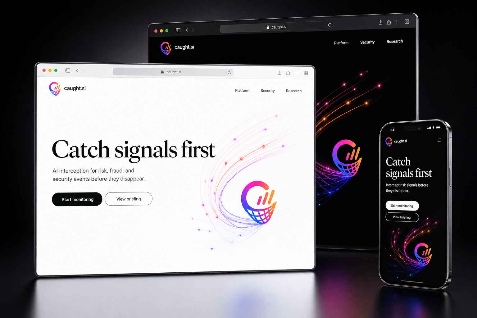 caught.si website concept preview