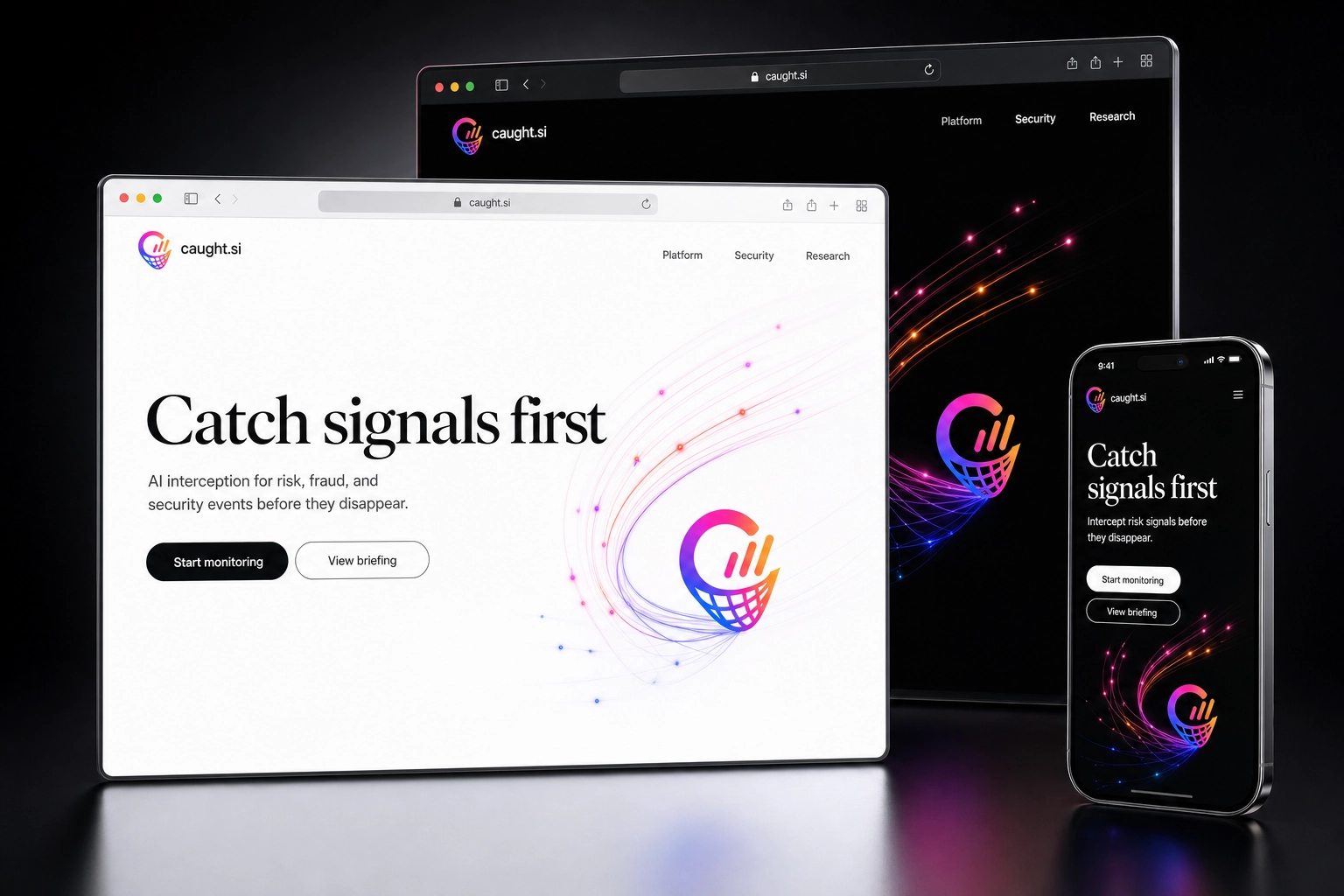 caught.si website concept preview