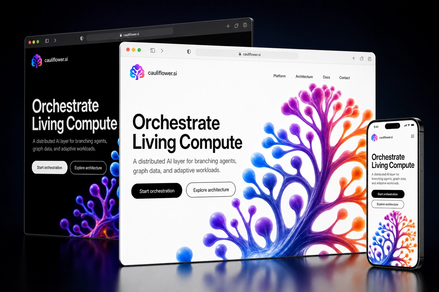 cauliflower.si website concept preview