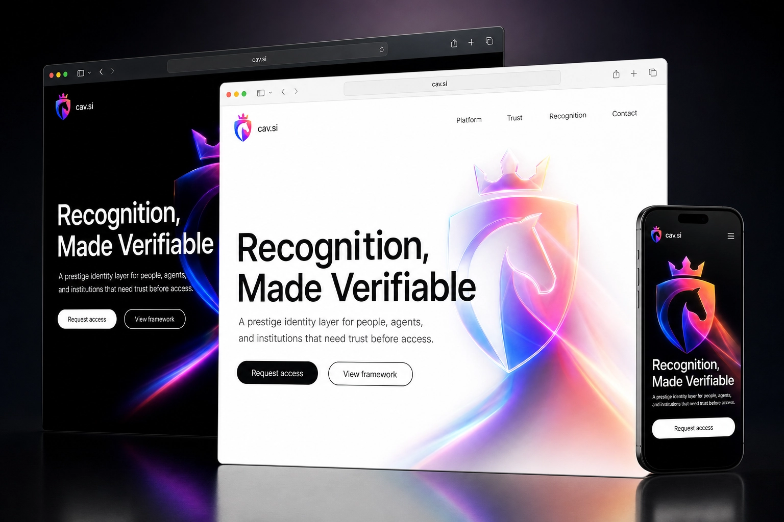 cav.si website concept preview