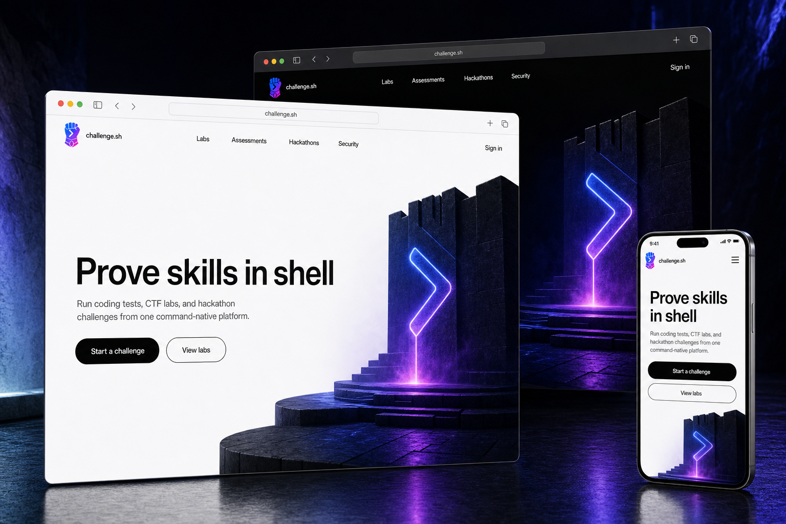 challenge.sh website concept preview enlarged