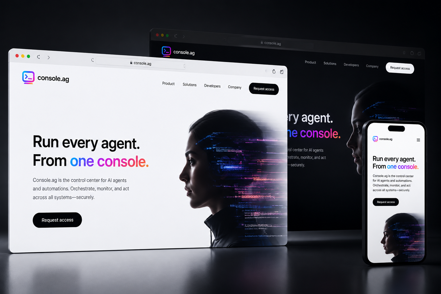 console.ag website concept preview enlarged