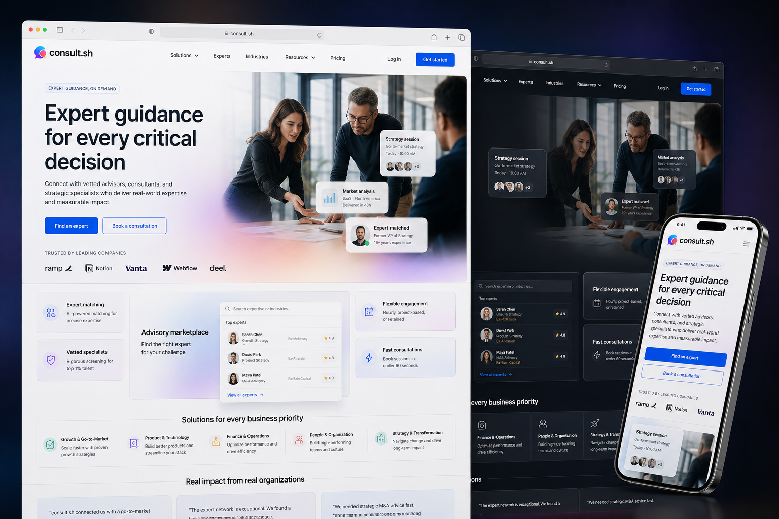 consult.sh website concept preview