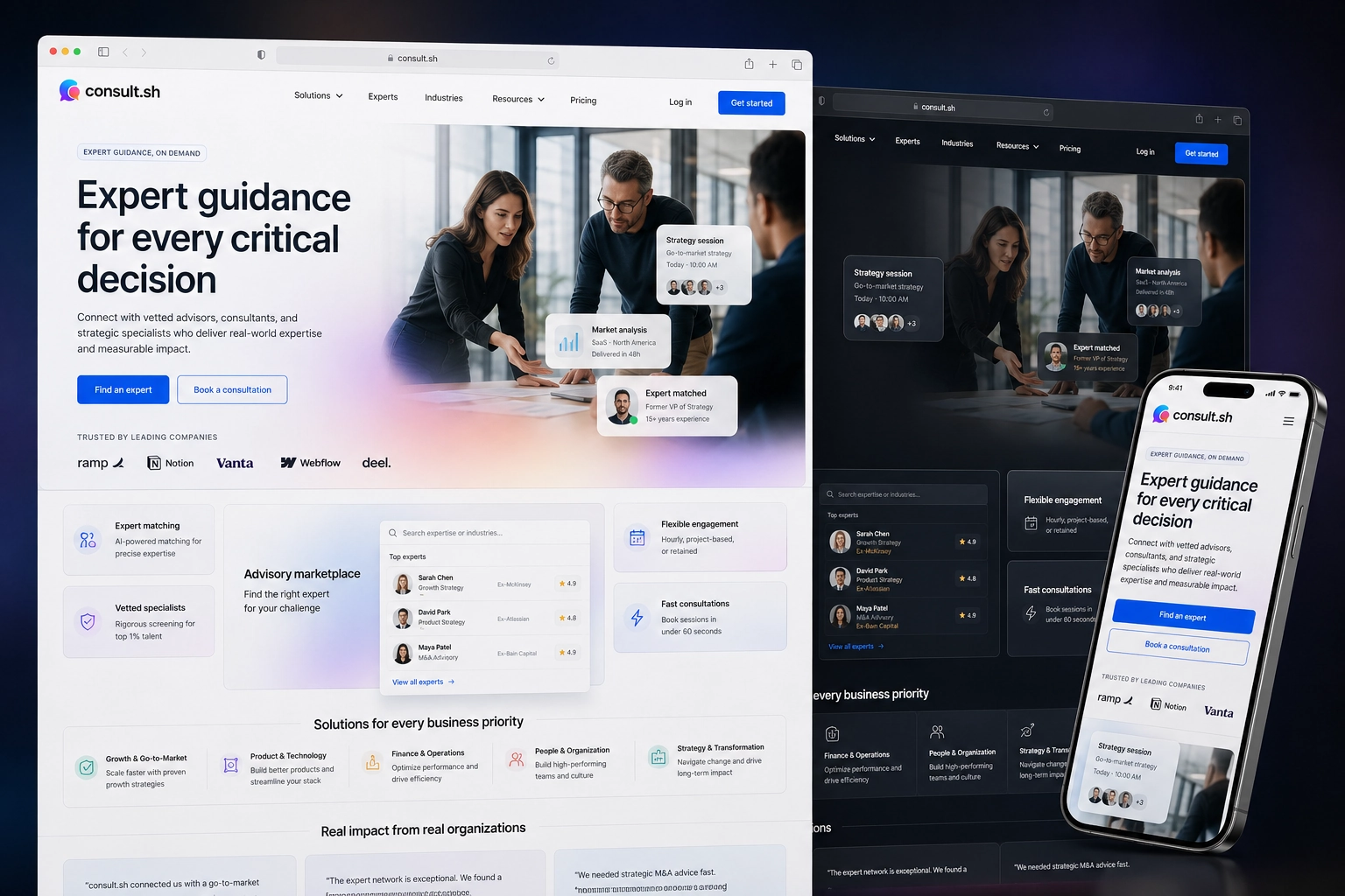 consult.sh website concept preview