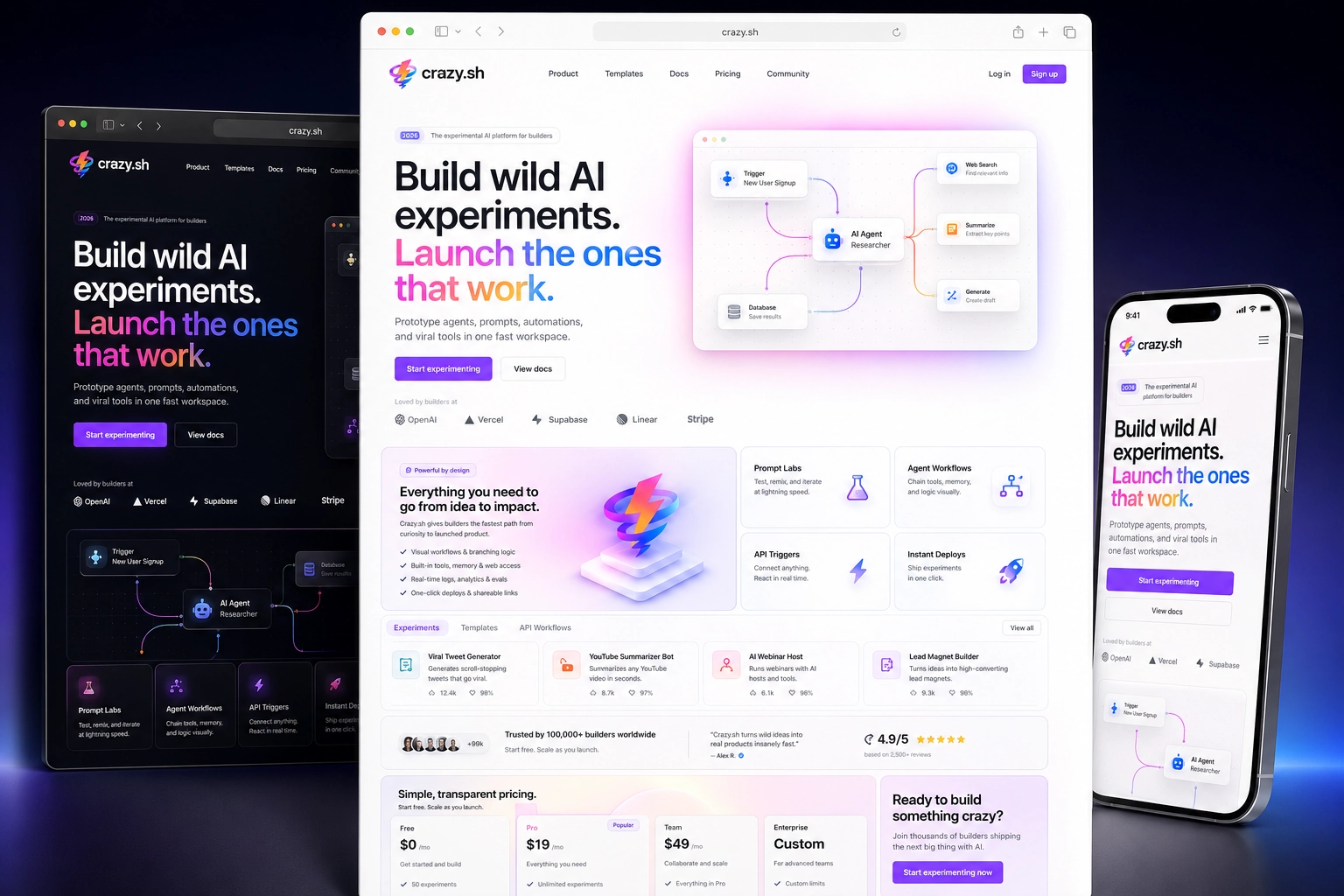 crazy.sh website concept preview