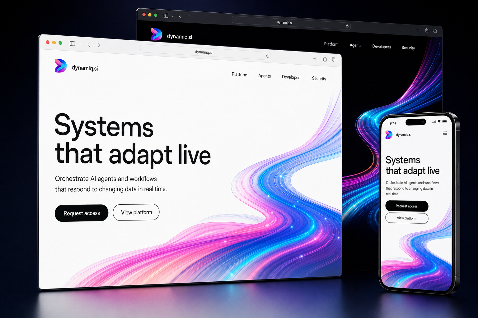dynamiq.si website concept preview enlarged
