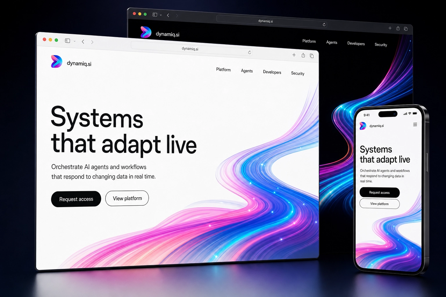 dynamiq.si website concept preview