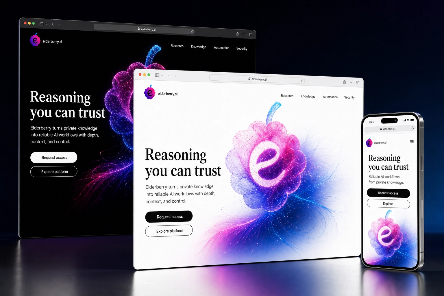 elderberry.si website concept preview