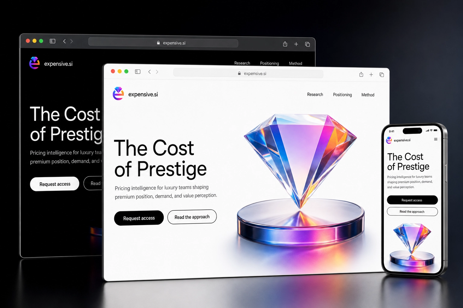 expensive.si website concept preview