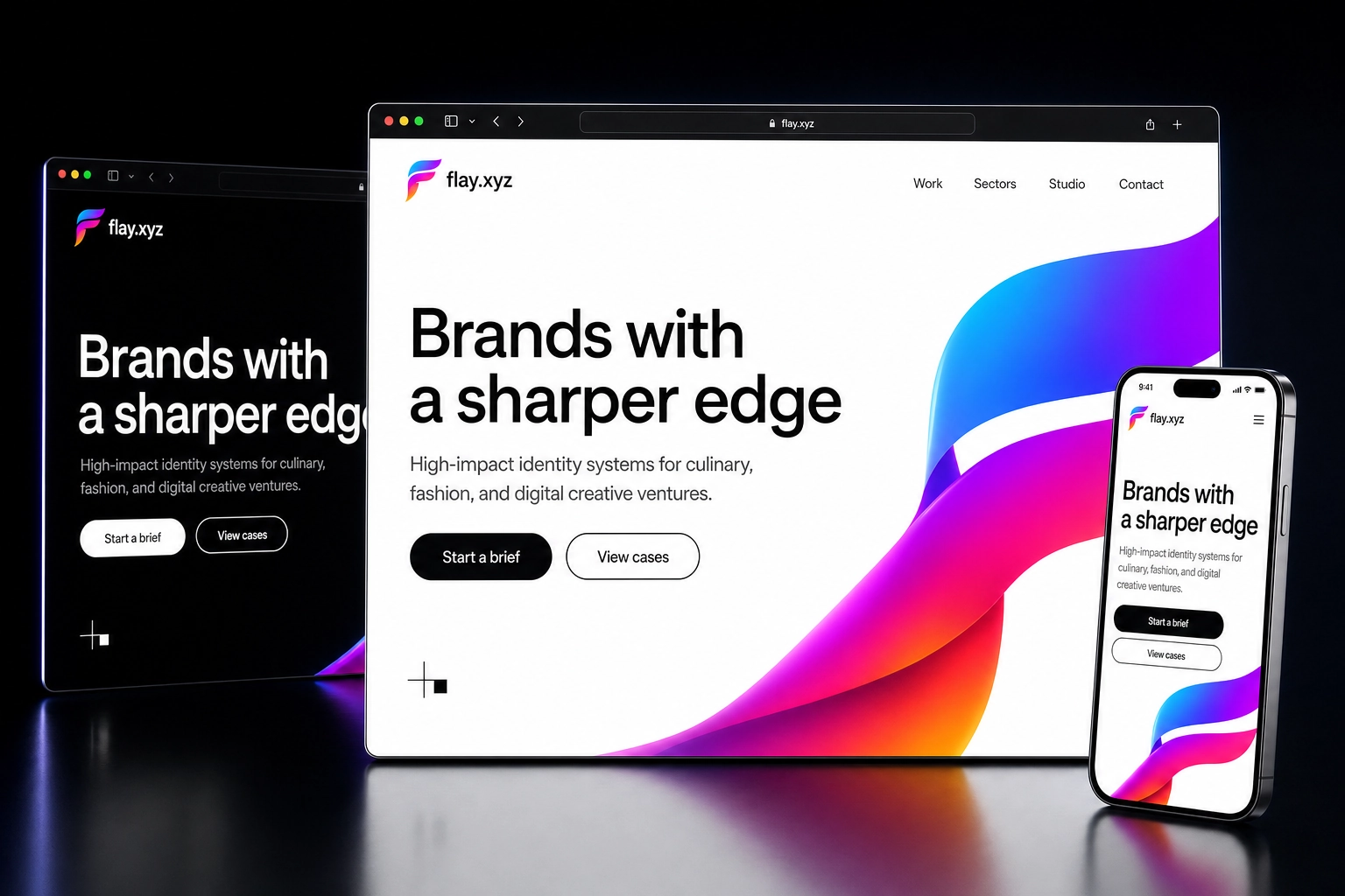 flay.xyz website concept preview