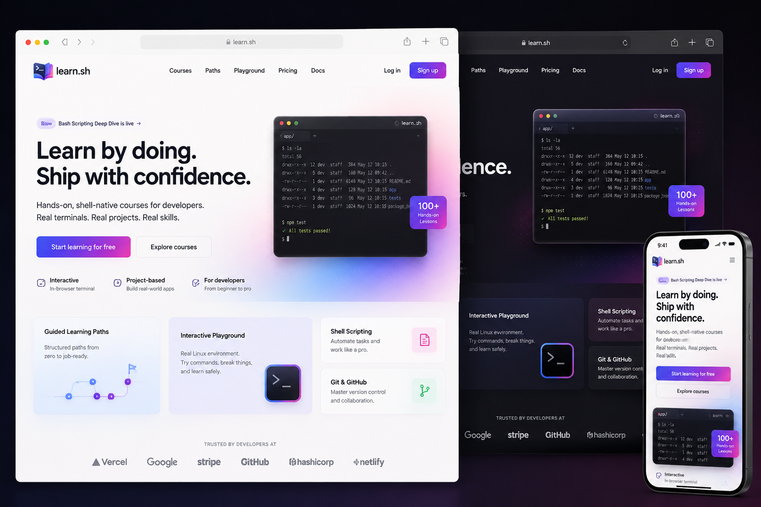 learn.sh website concept preview