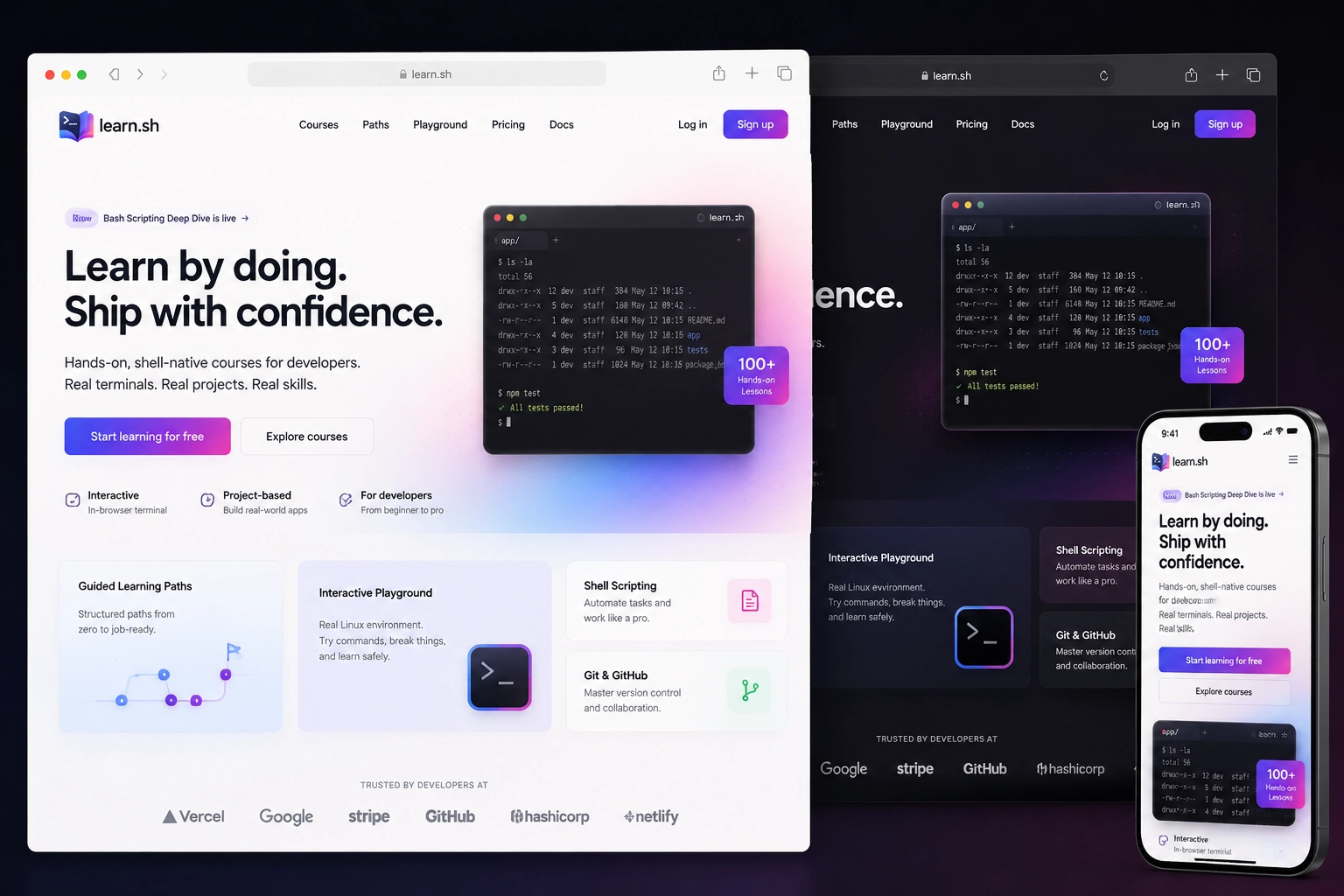 learn.sh website concept preview