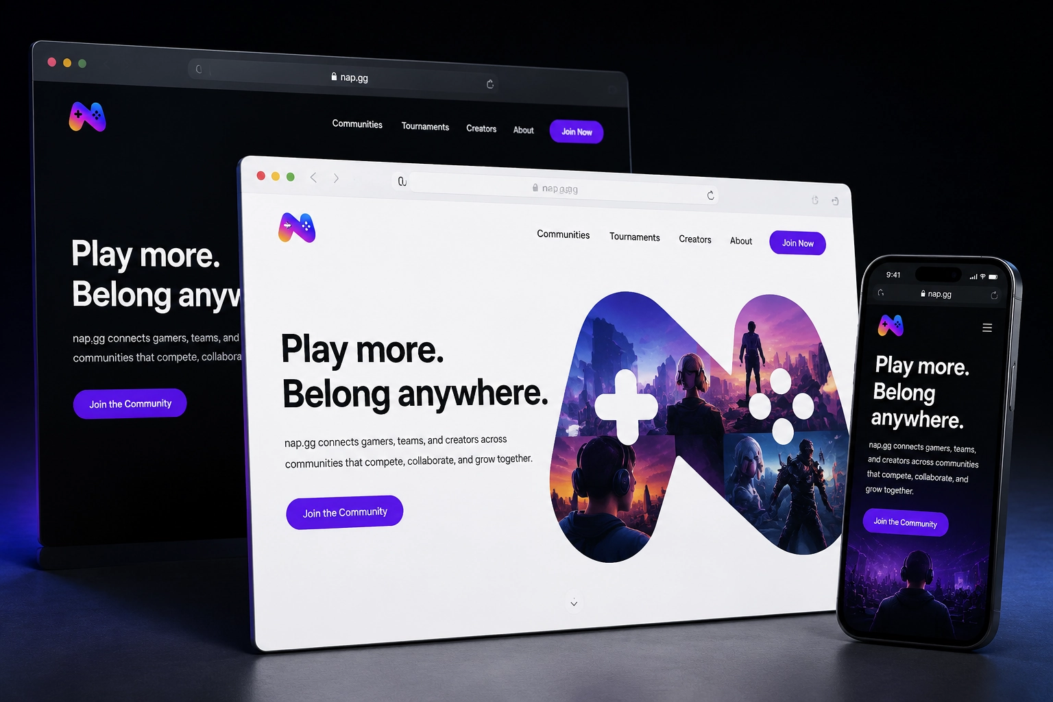 nap.gg website concept preview