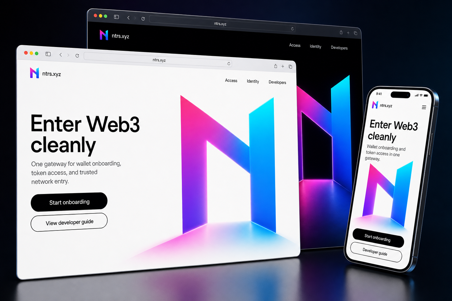 ntrs.xyz website concept preview