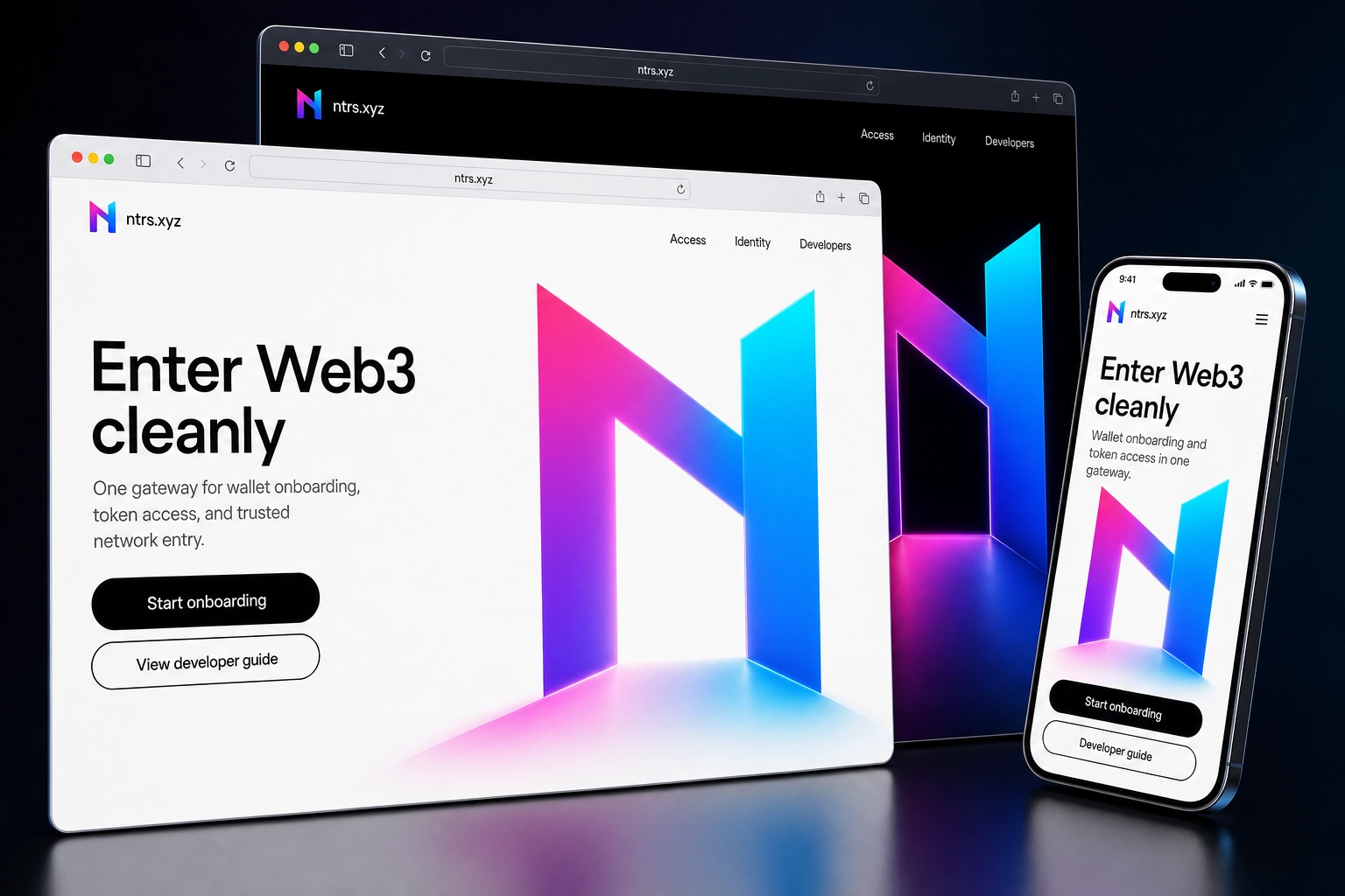 ntrs.xyz website concept preview