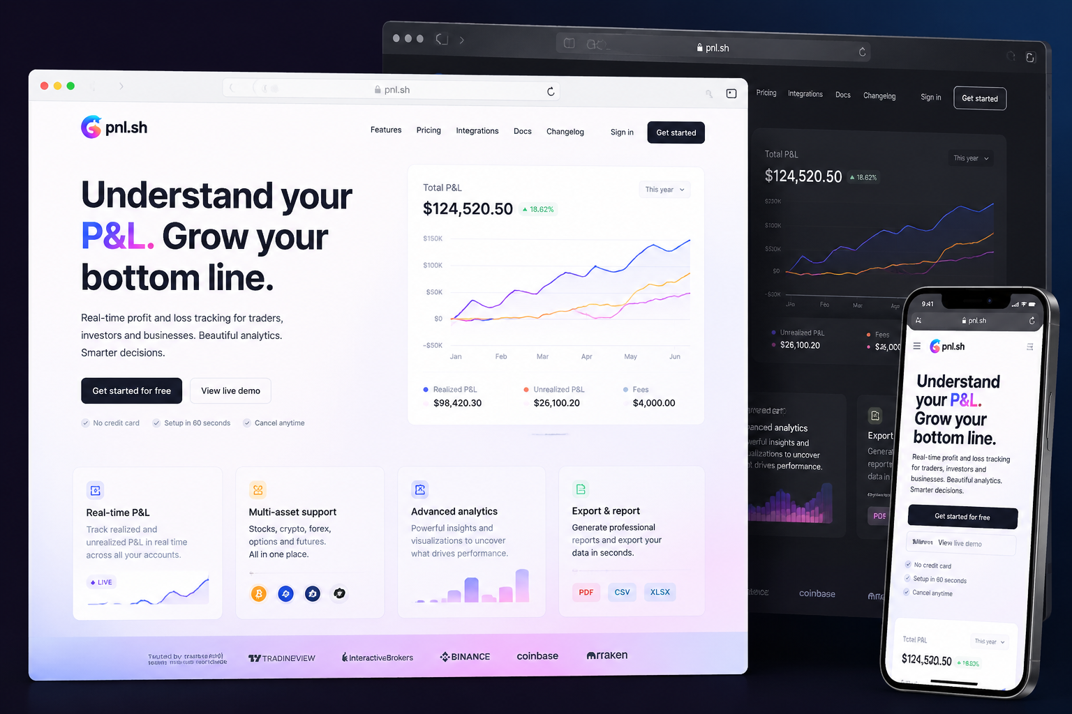 pnl.sh website concept preview
