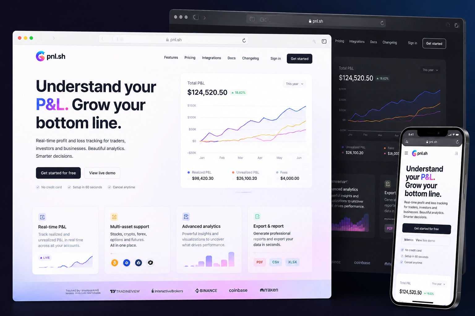 pnl.sh website concept preview