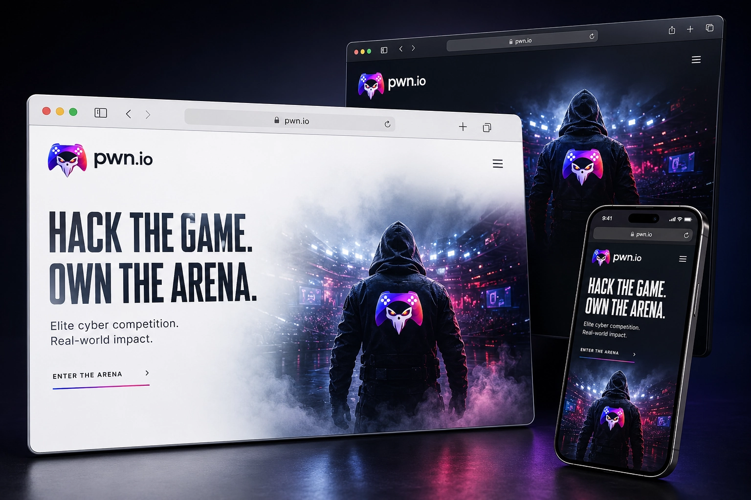 pwn.io website concept preview