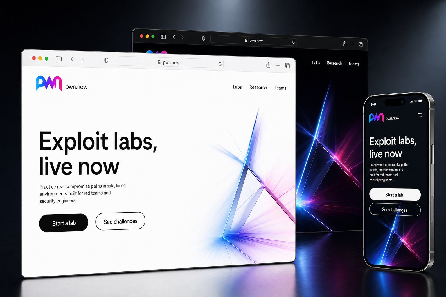 pwn.now website concept preview enlarged