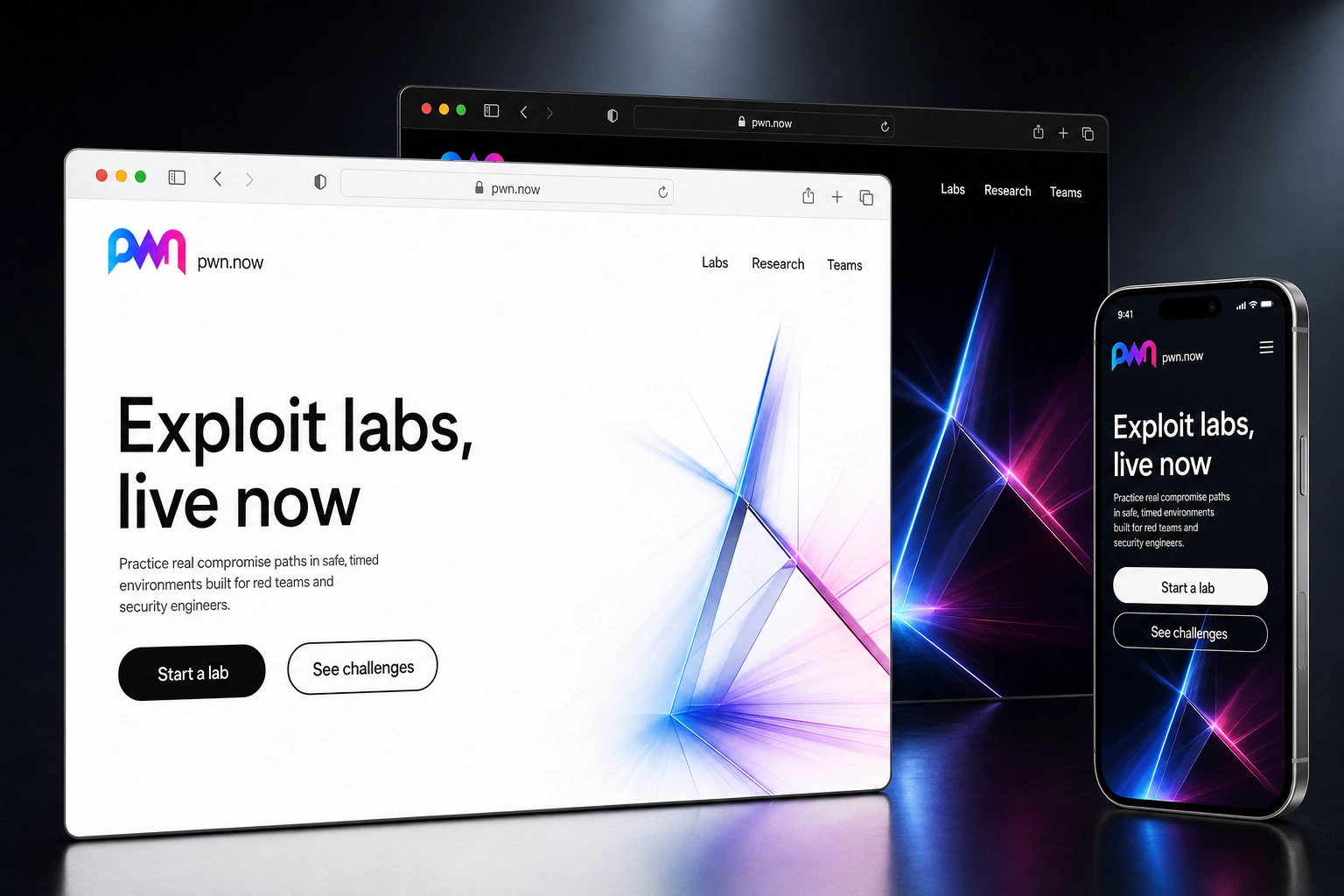 pwn.now website concept preview