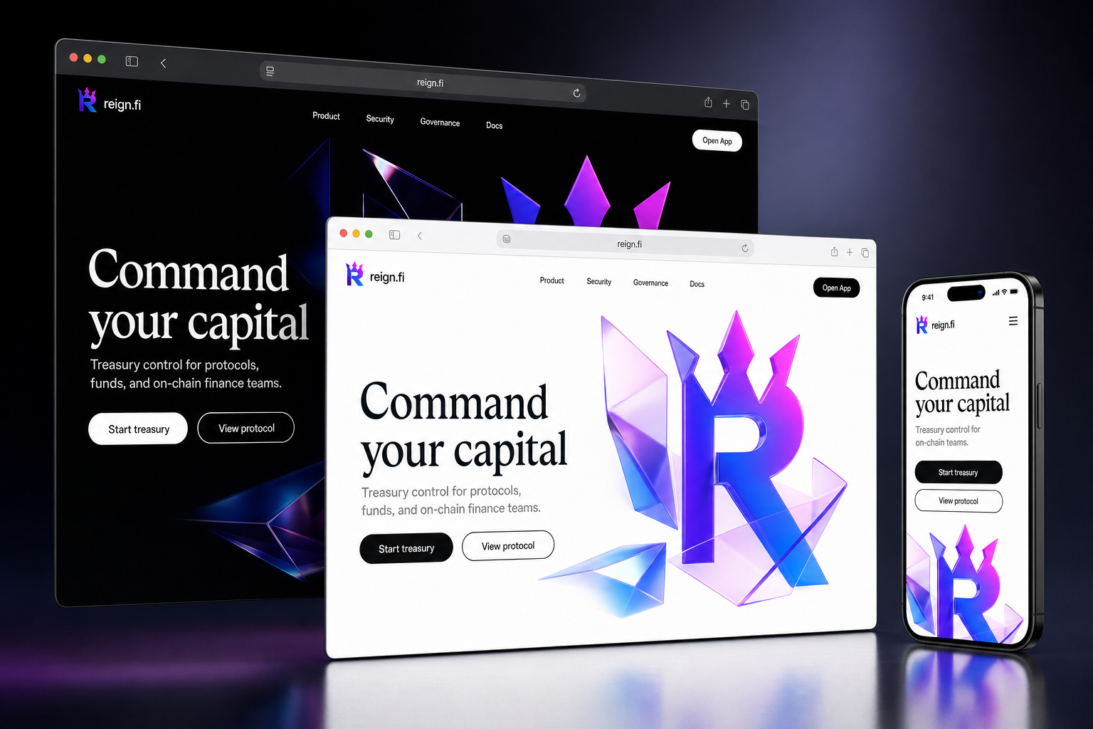 reign.fi website concept preview enlarged