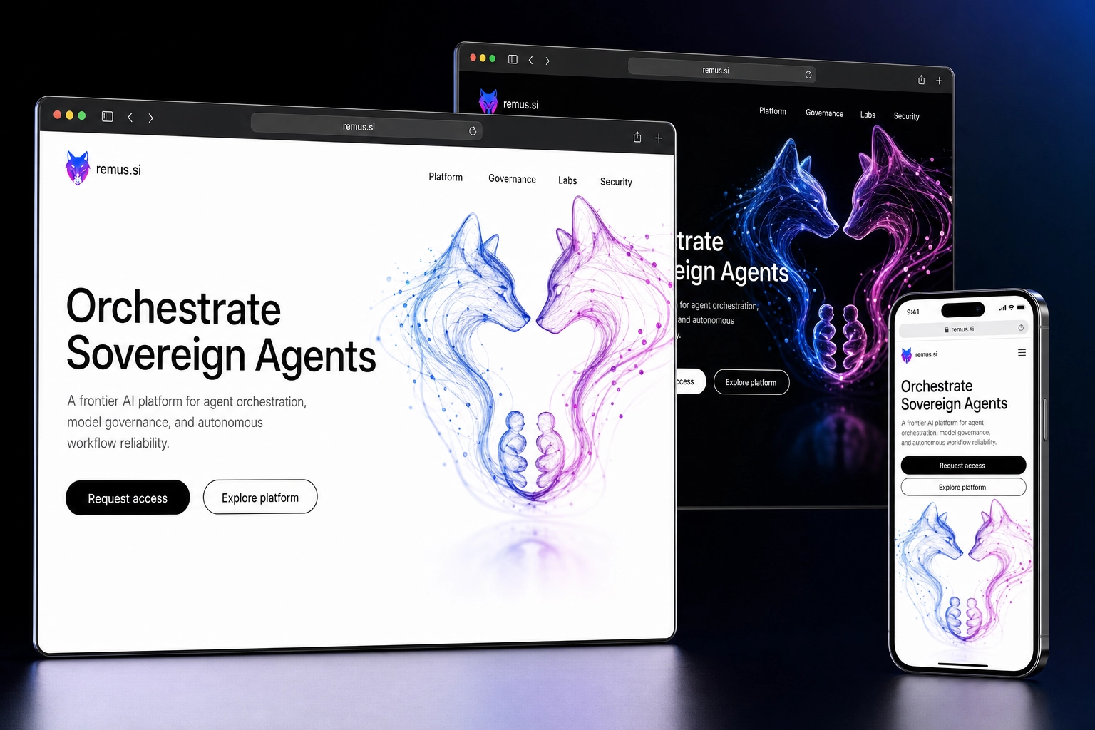remus.si website concept preview