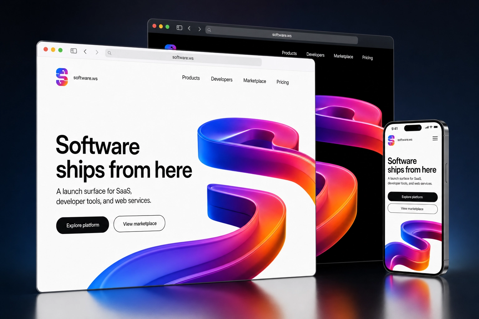 software.ws website concept preview