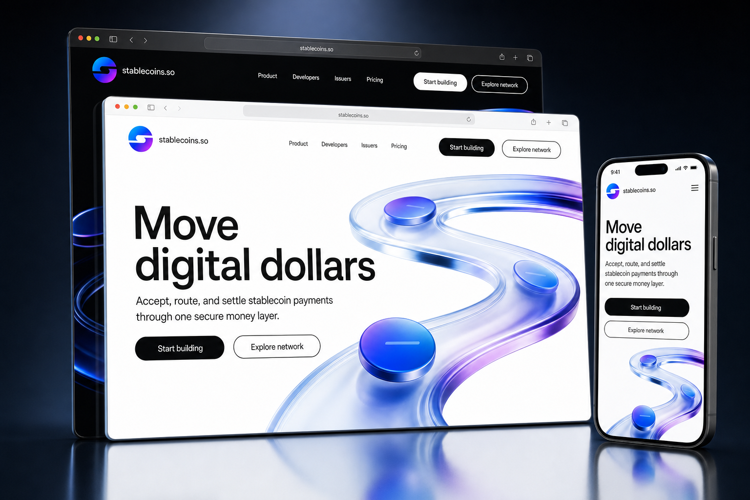 stablecoins.so website concept preview enlarged