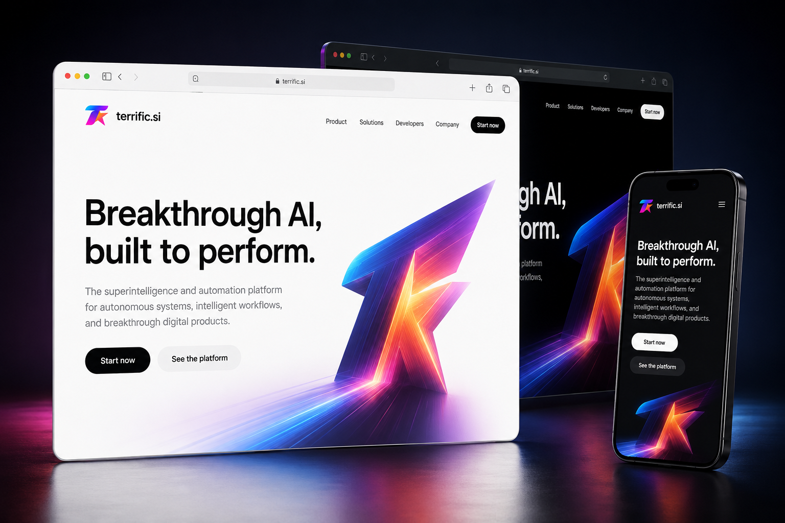 terrific.si website concept preview