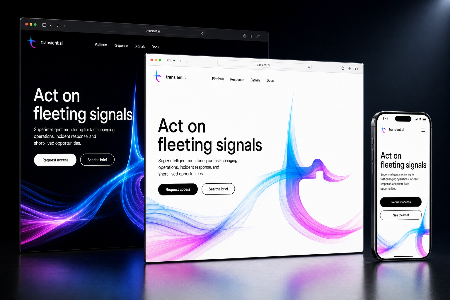 transient.si website concept preview enlarged