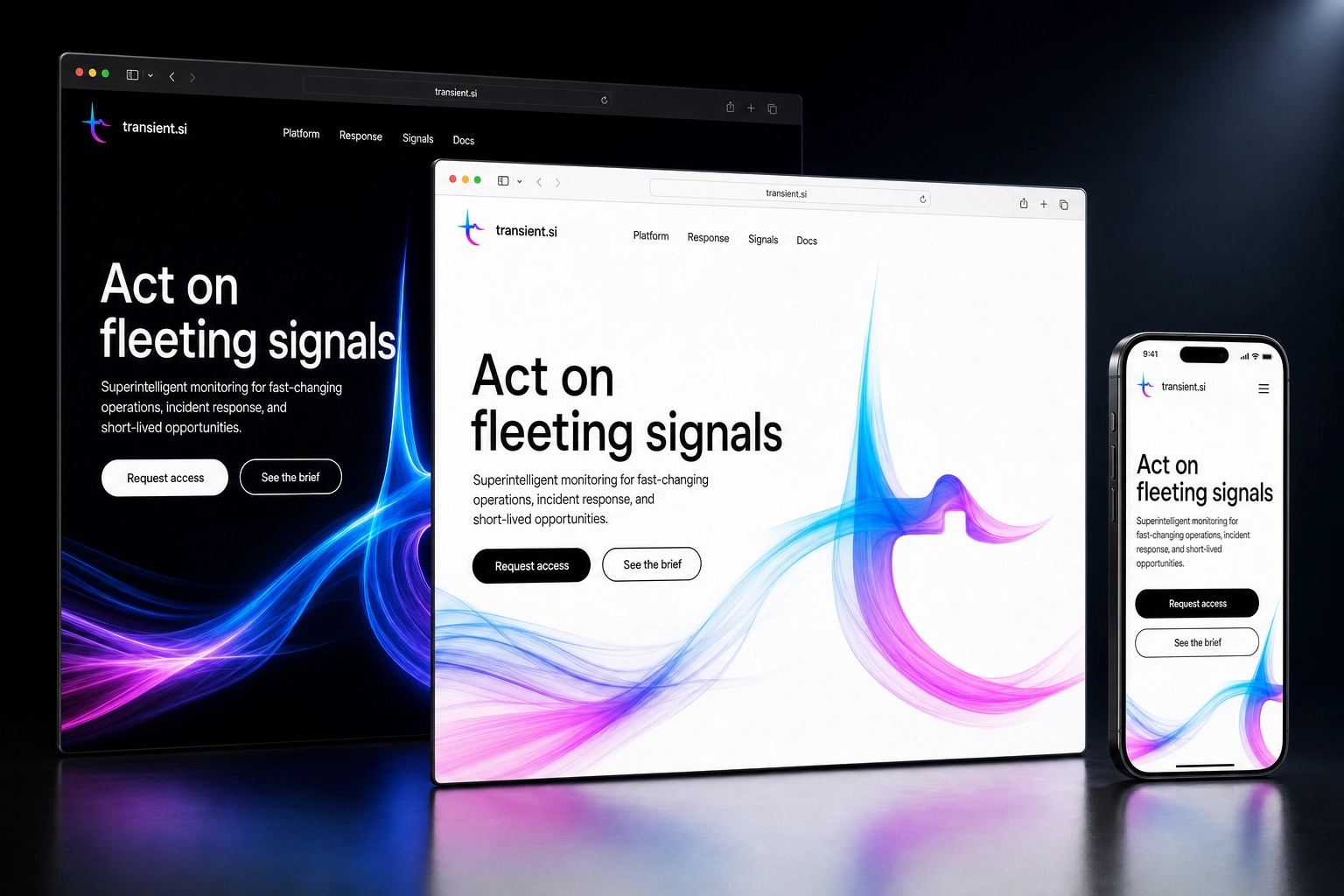 transient.si website concept preview