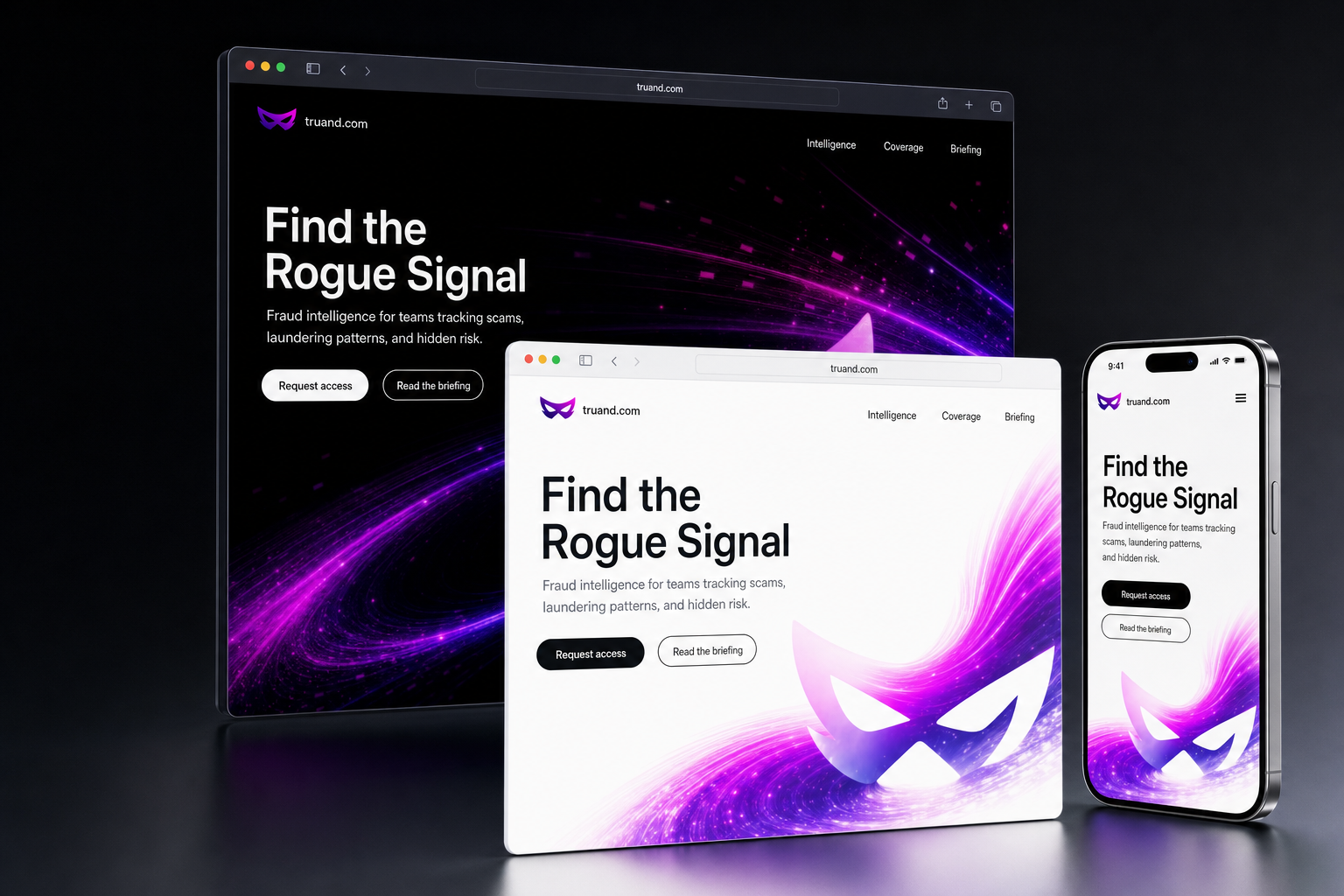 truand.com website concept preview enlarged