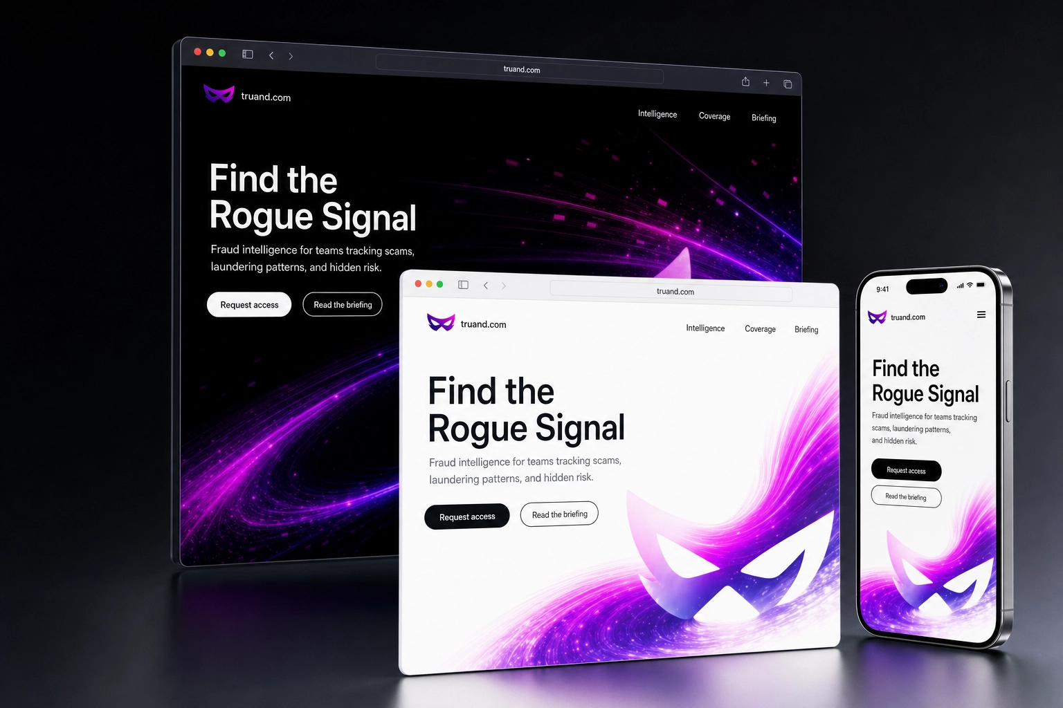 truand.com website concept preview