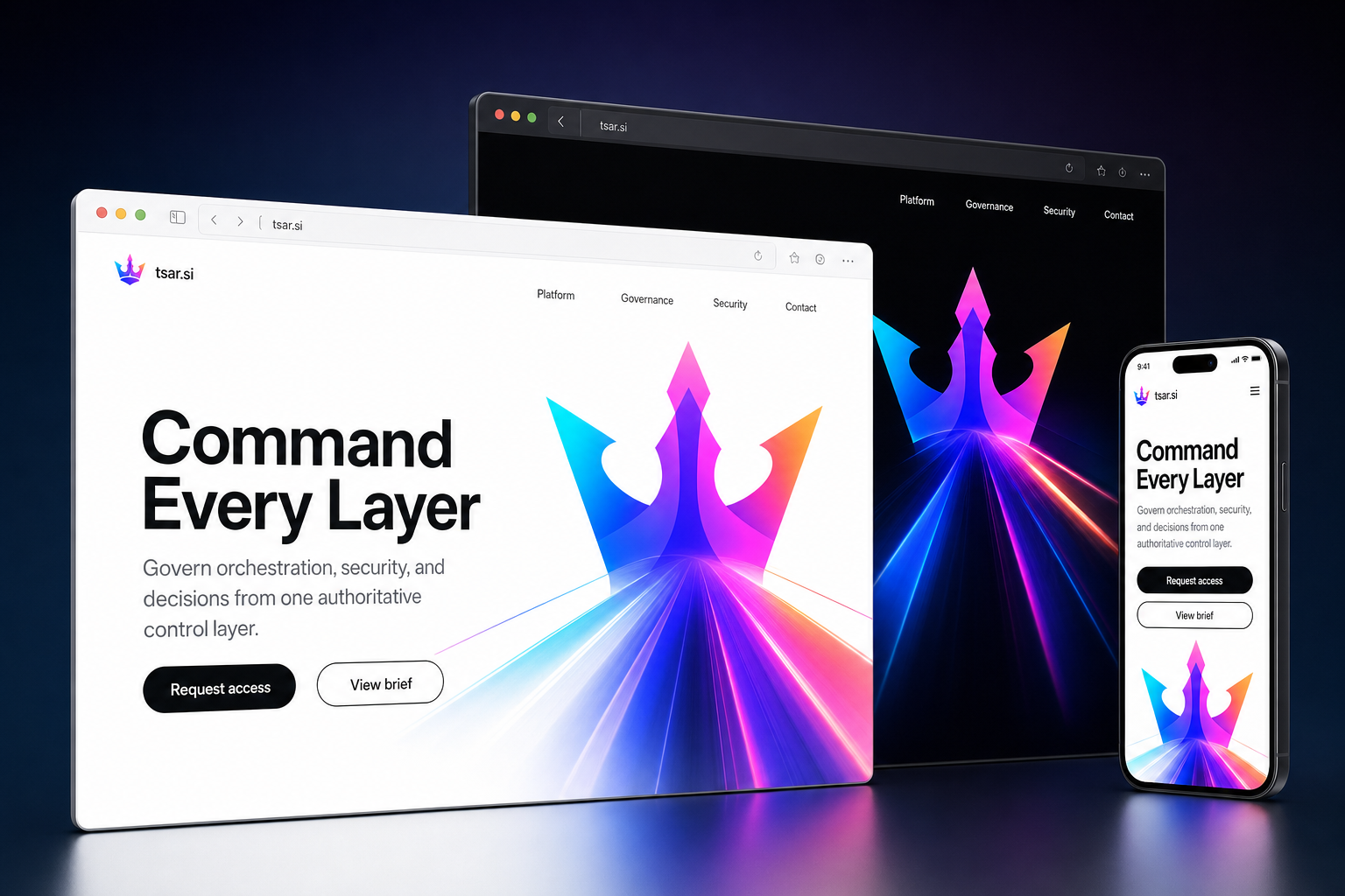 tsar.si website concept preview enlarged