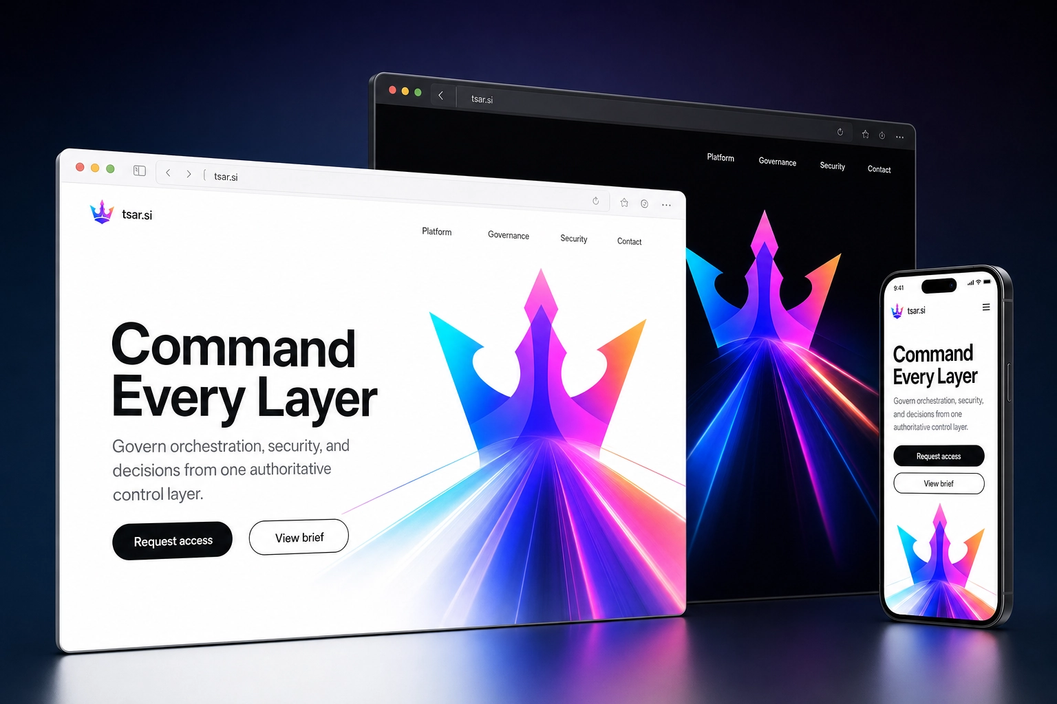 tsar.si website concept preview