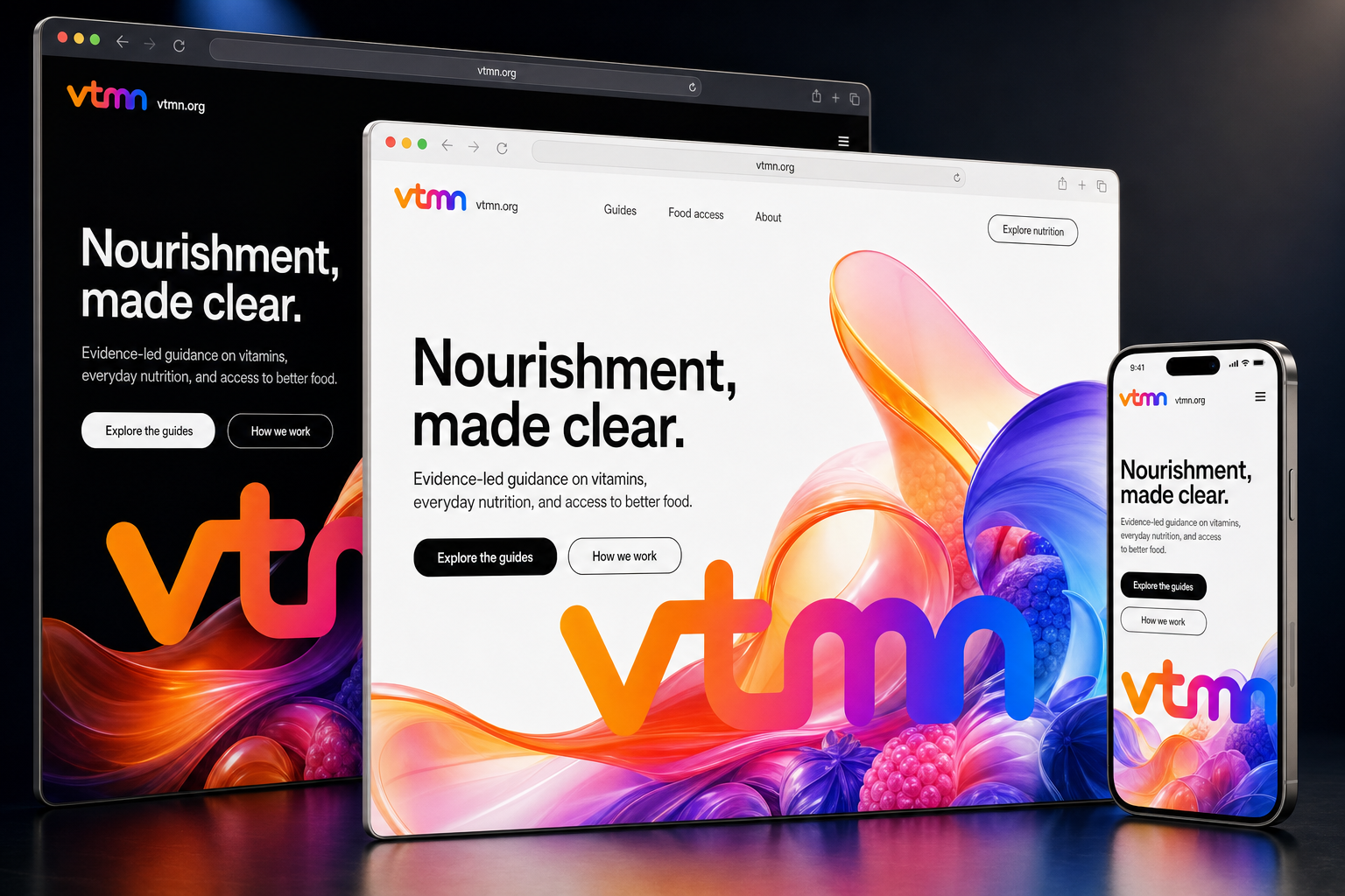 vtmn.org website concept preview enlarged