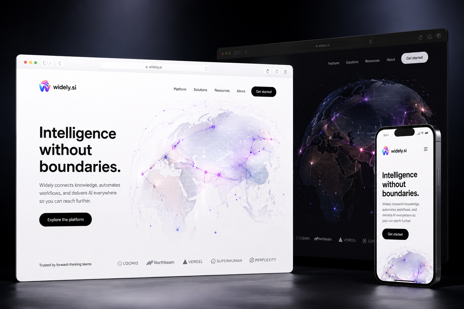 widely.si website concept preview enlarged