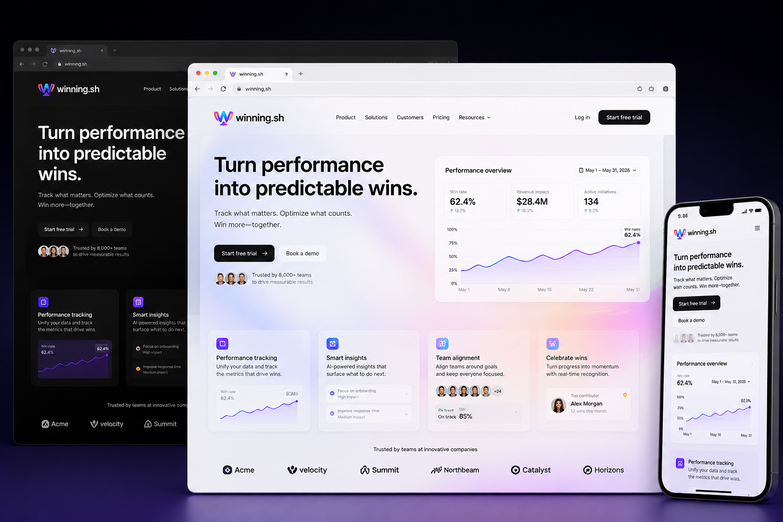 winning.sh website concept preview