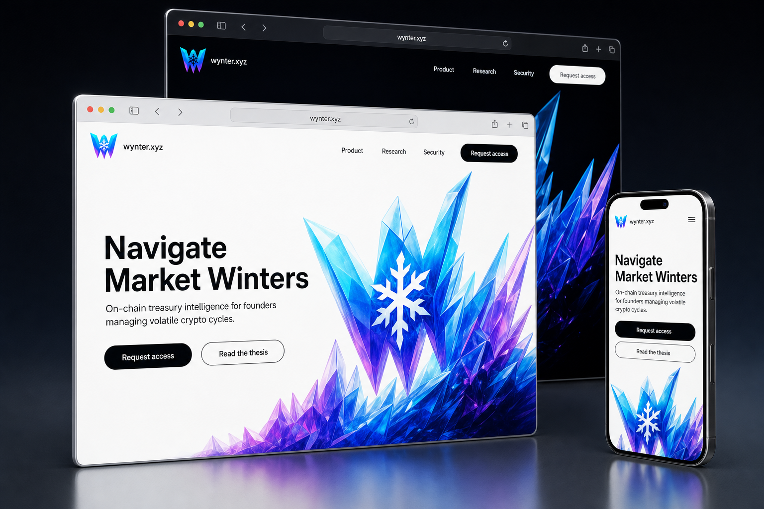 wynter.xyz website concept preview enlarged